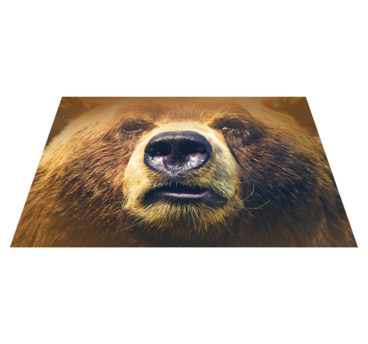 Original placemat bear face close-up - TenStickers