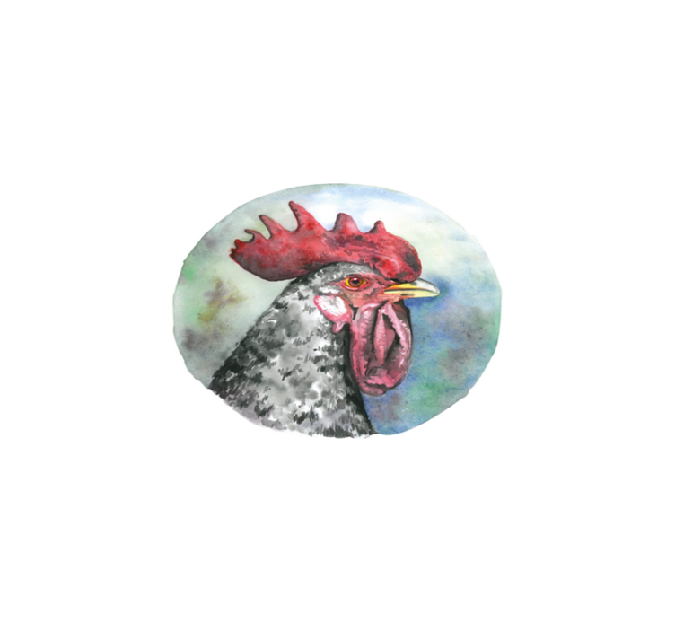 Original placemat colorful rooster portrait - TenStickers