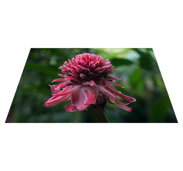 Original placemat tropical floral design - TenStickers