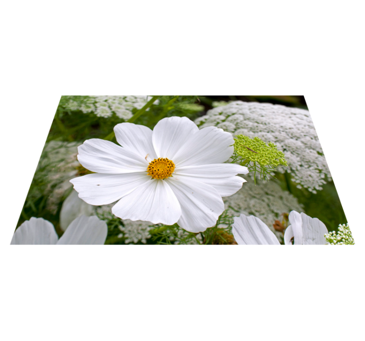 Original placemat elegant white blossom - TenStickers