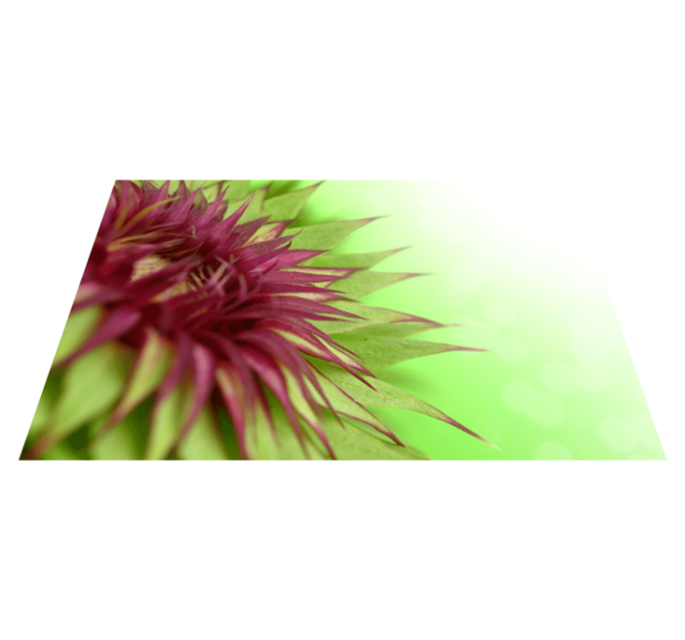 Thistle flowering plant placemat - TenStickers