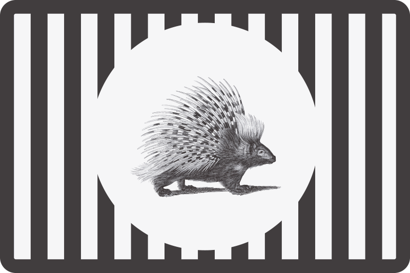 Porcupine art black and white trendy placemats - TenStickers