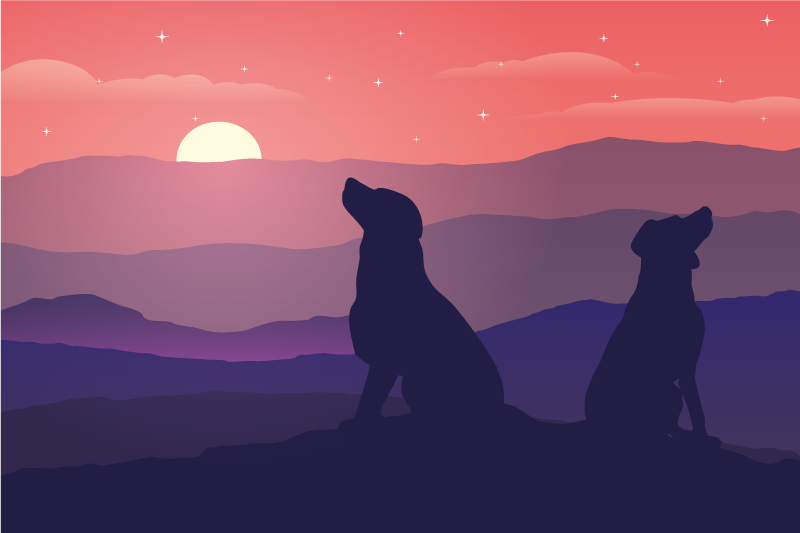 sunset and dog Vinyl placemats - TenStickers