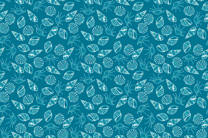 Seashell animals seashell placemats - TenStickers