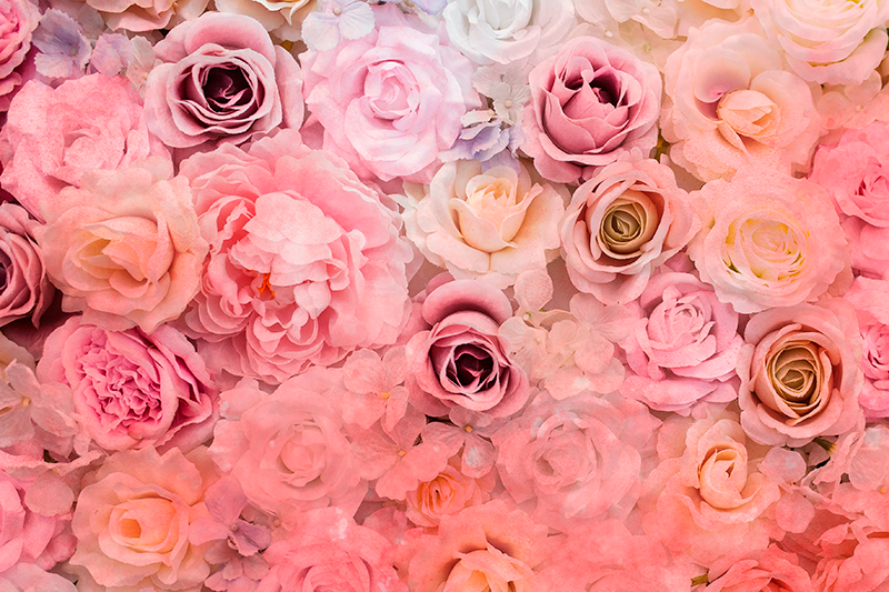 Close up light pink roses elegant placemats - TenStickers