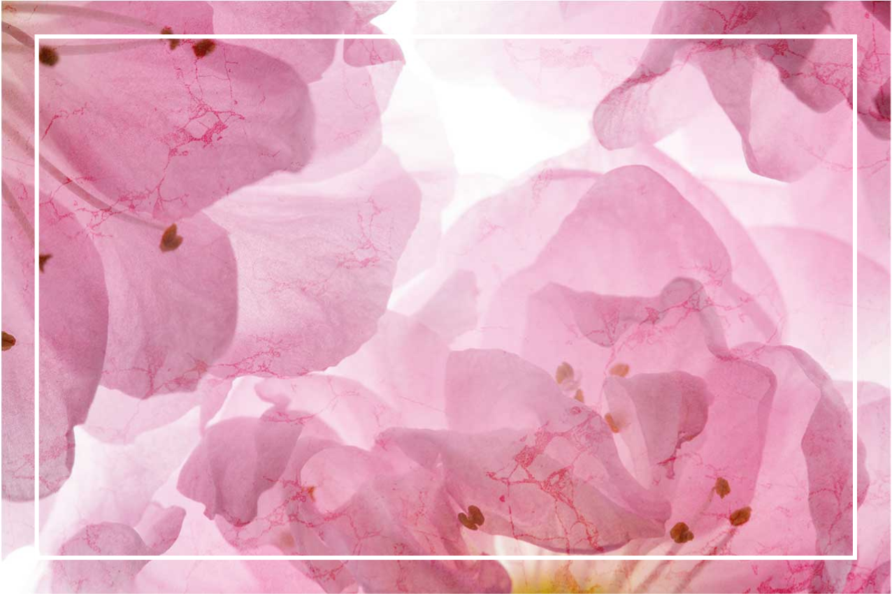 Elegant placemat with delicate floral design - TenStickers