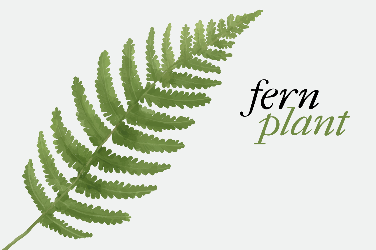 Original placemat fern plant display - TenStickers