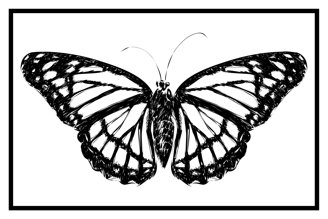 Black and White Butterfly original placemats - TenStickers