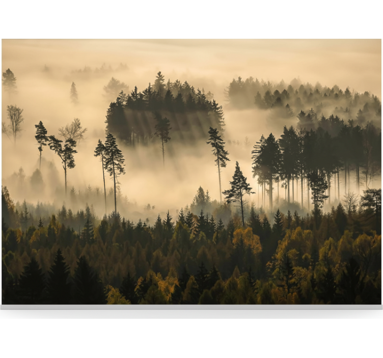 Ethereal morning mist forest wall mural - TenStickers