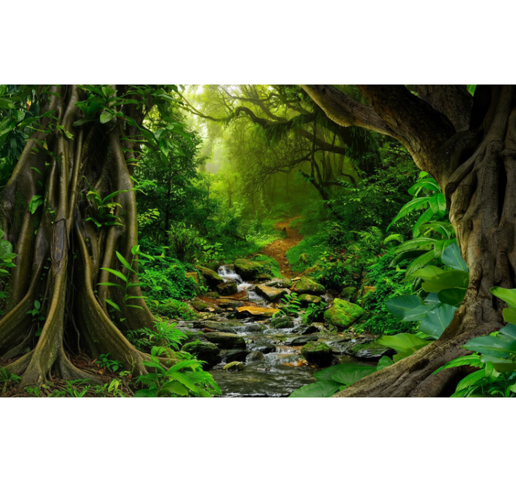 Tropical forest oasis forest wall mural - TenStickers