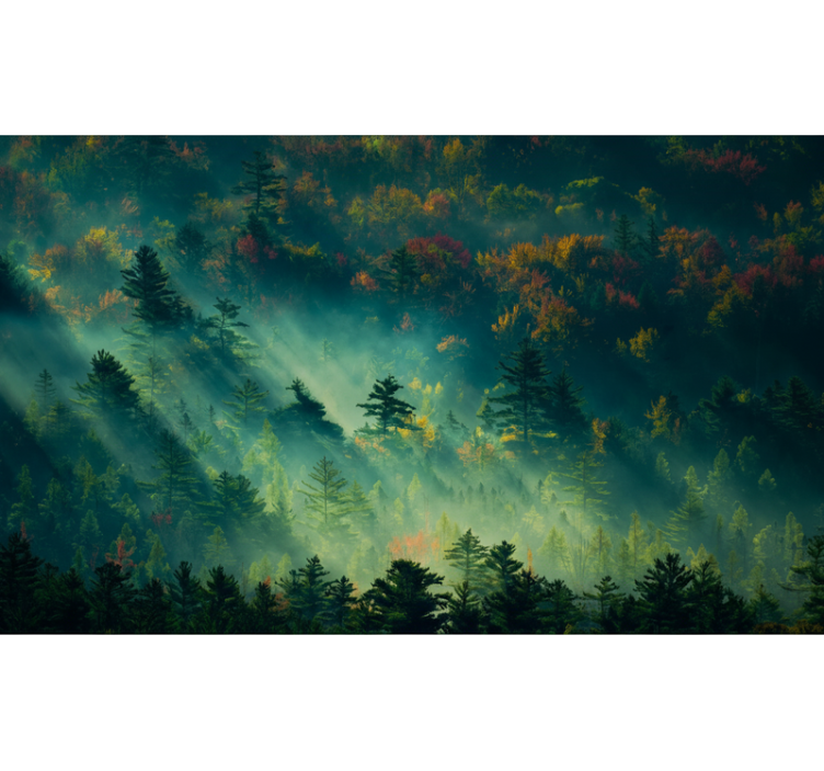 Forest wall mural the moody forest - TenStickers