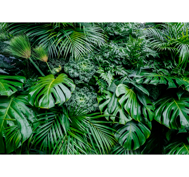 Jungle Plants Mural Wallpaper - TenStickers