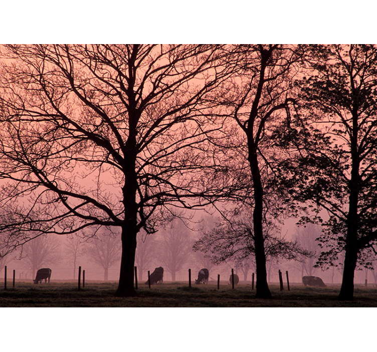 Cow's pasture in fog tree wall mural - TenStickers