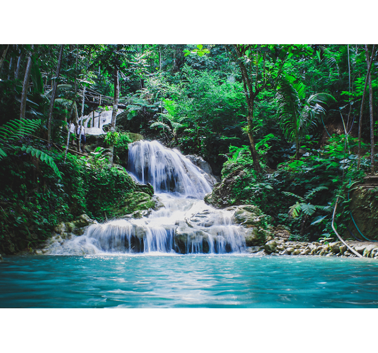 Escape to a tropical rainforest tree wall mural - TenStickers