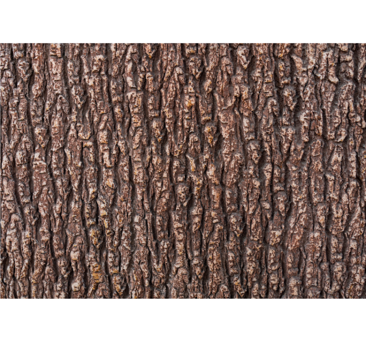 Wood texture of tree bark Wood Wall Mural - TenStickers
