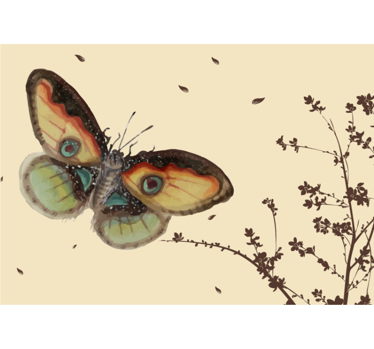Animal wall mural large butterfly showcase - TenStickers