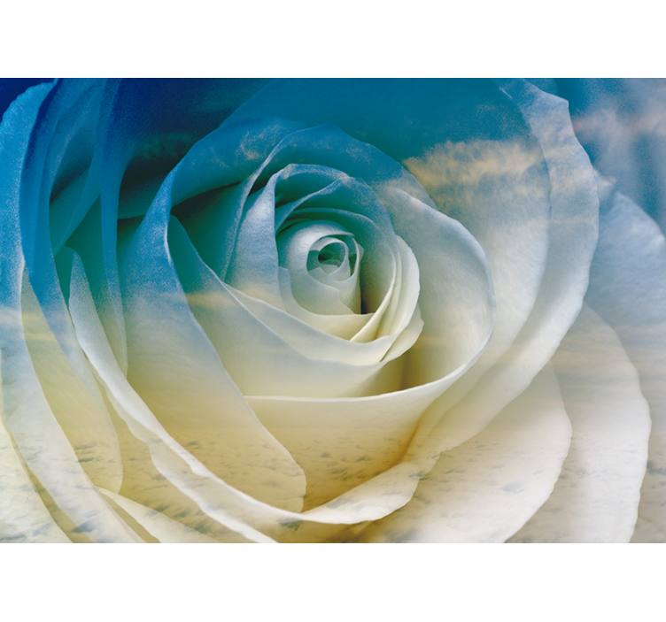 Flower mural rose blossom elegance - TenStickers