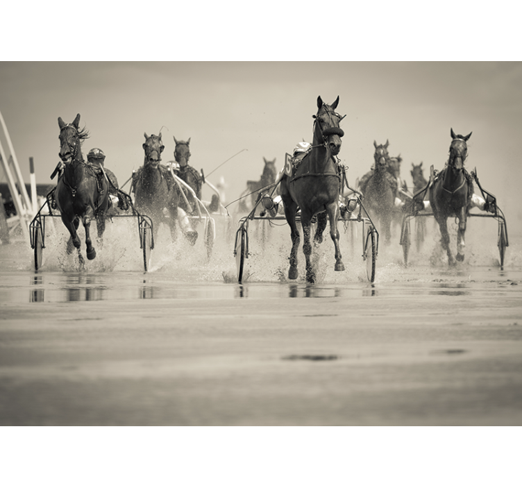 Running group of horses wall mural - TenStickers