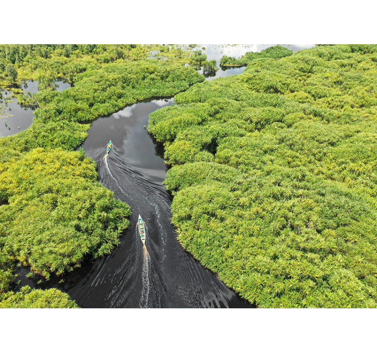 Scenic River Journey landscape mural wallpaper - TenStickers