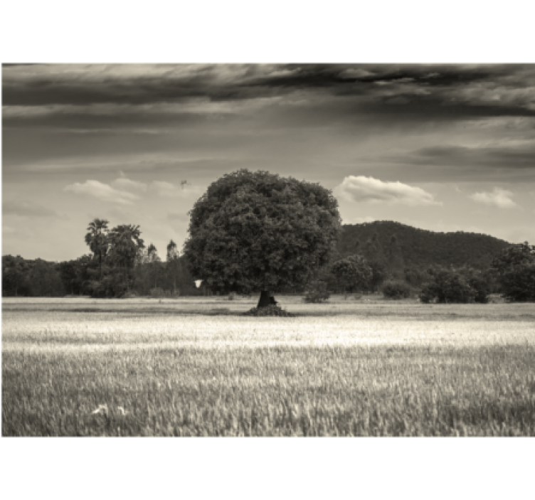 Lone tree landscape tree mural - TenStickers