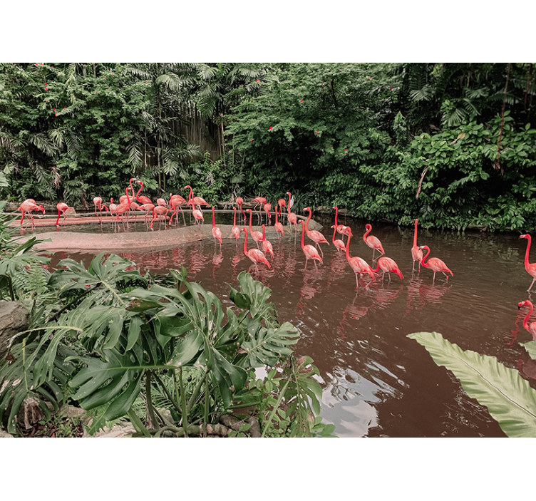Flamingos by Water animal wall mural - TenStickers