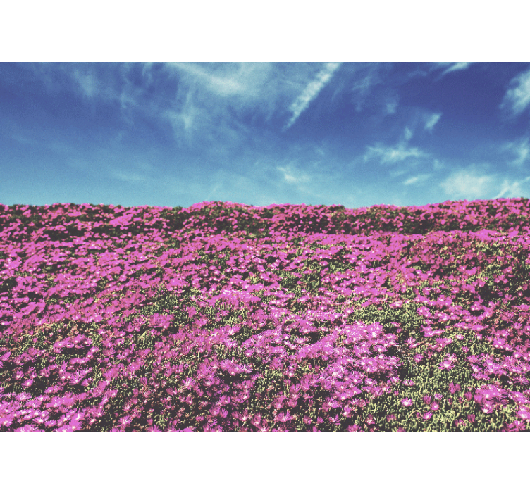 Vibrant Pink Blossoms flower mural - TenStickers