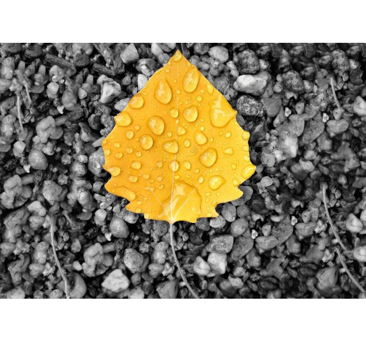 Yellow Leaf Detail nature wall mural - TenStickers