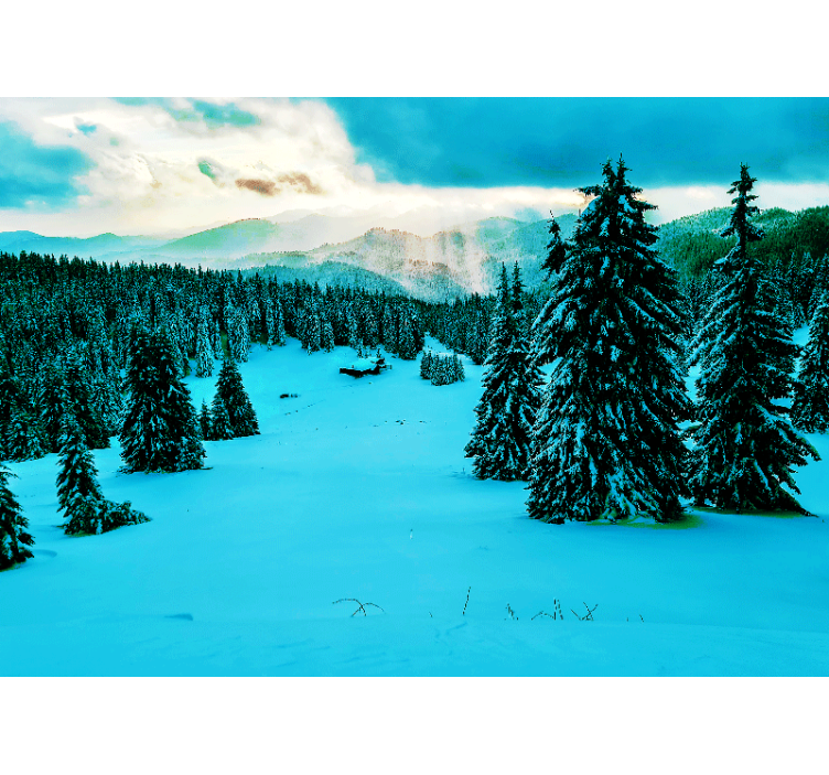 Snowy forest Forest Wall Mural - TenStickers
