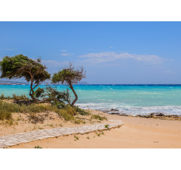 Serene scene path sea mural - TenStickers