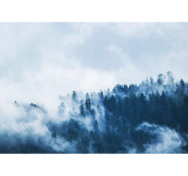 Blue foggy forest nature wall mural - TenStickers
