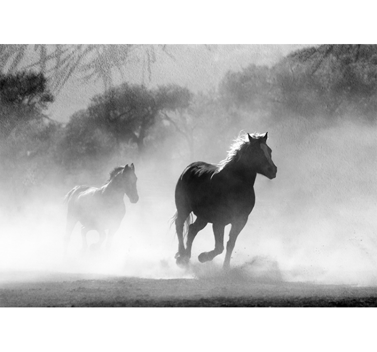 Two Running Horses animal wall mural - TenStickers