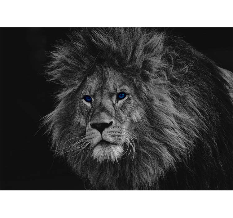 Blue eyes lion  lion wall mural - TenStickers