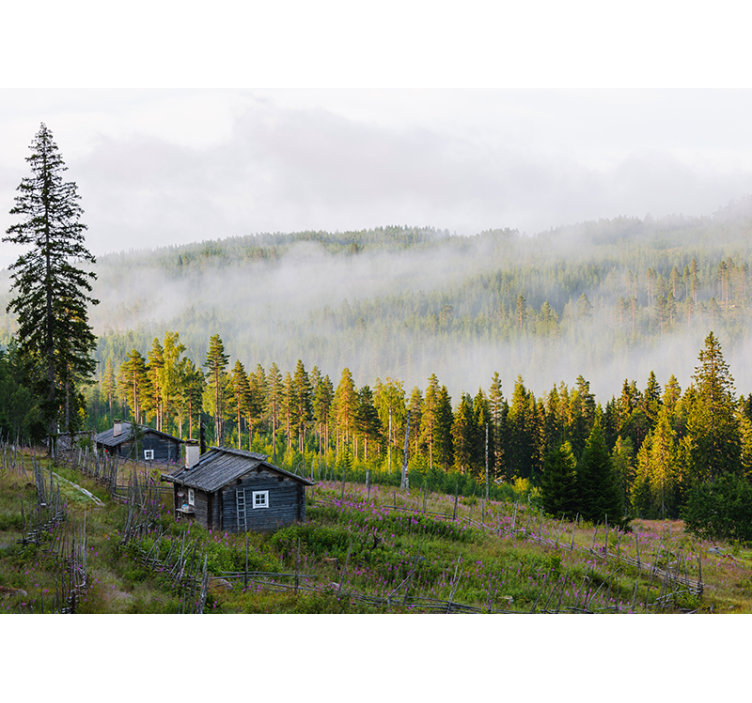 Mist Covered Forest landscape mural wallpaper - TenStickers