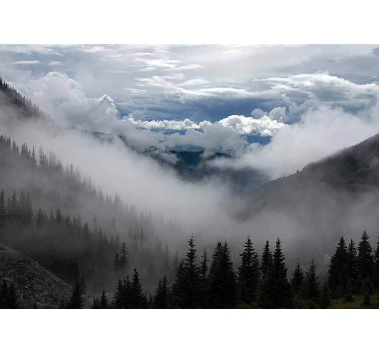 Foggy Woodland Scenery landscape mural wallpaper - TenStickers