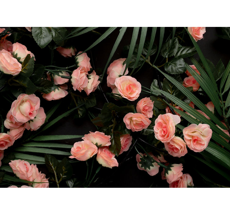 Soft Pink Roses flower mural - TenStickers