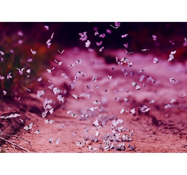 Delicate Butterfly Dance flower mural - TenStickers