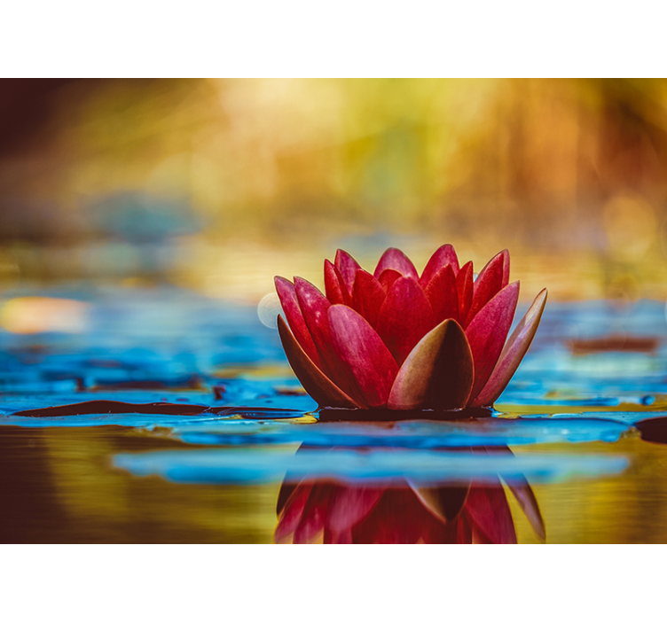 Magnolia wall mural graceful water lily - TenStickers