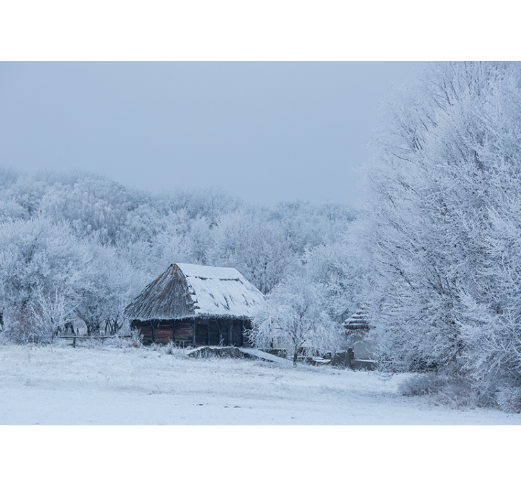 Icy Winter Scenery landscape mural wallpaper - TenStickers