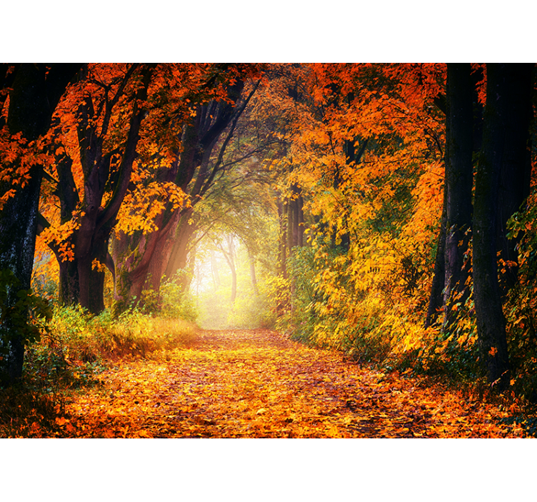 Autumn colorful Forest Wall Mural - TenStickers