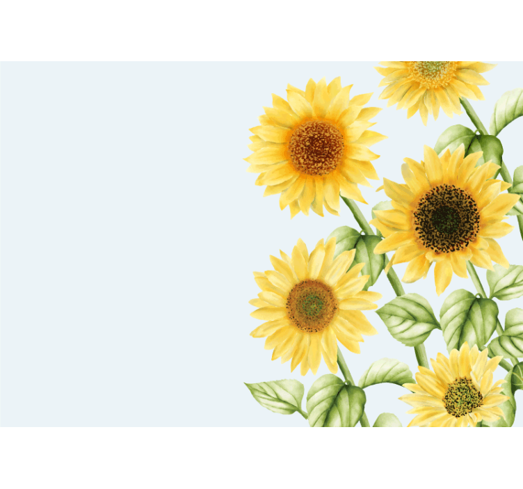 Sunflower Blossoms Display flower mural - TenStickers