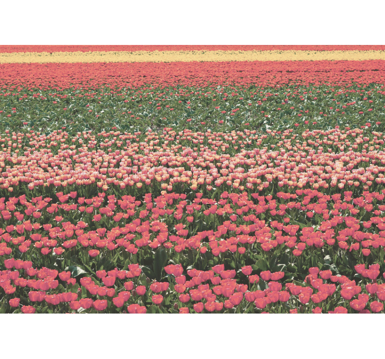 Flower mural tulip field landscape - TenStickers