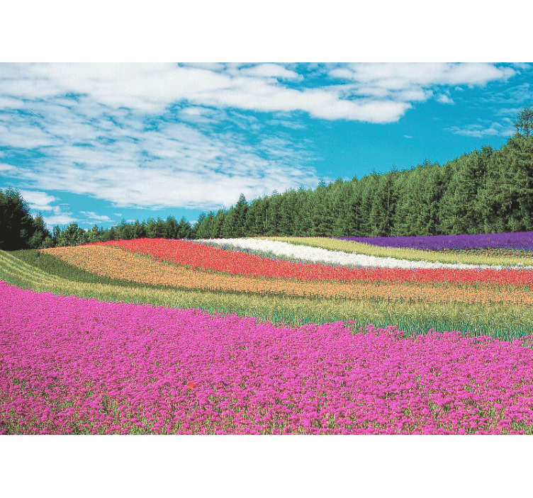 Flower mural vibrant floral landscape - TenStickers
