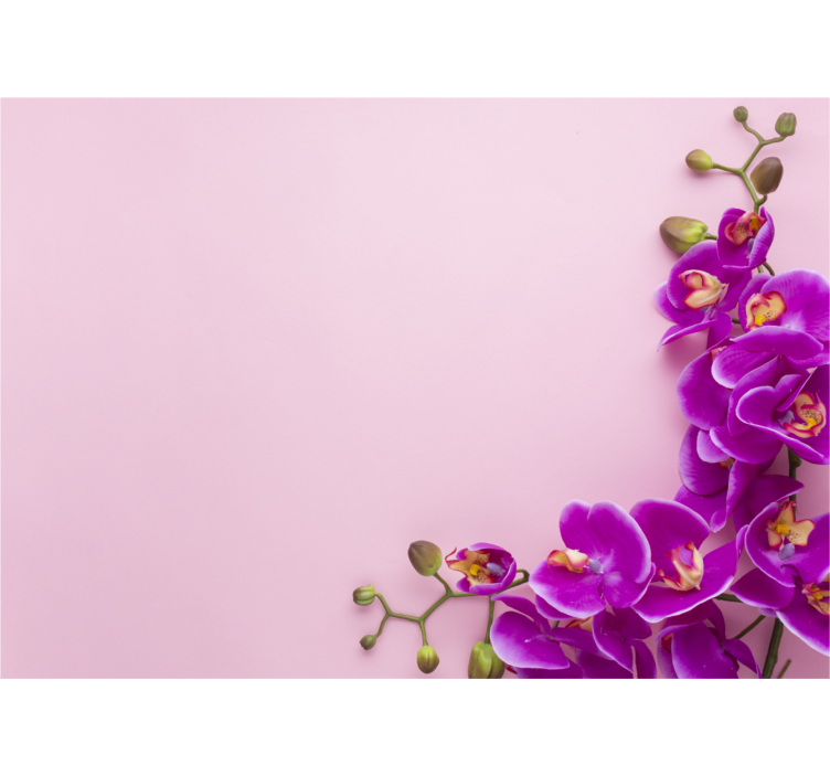 Orchid mural orchid floral design - TenStickers