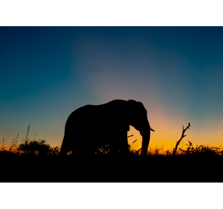 Animal wall mural elephant silhouette at sunset - TenStickers