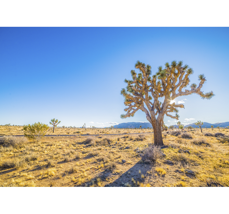 Mountain wall mural joshua tree landscape - TenStickers