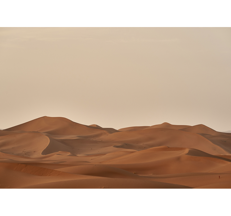 Desert mural sandy desert landscape - TenStickers