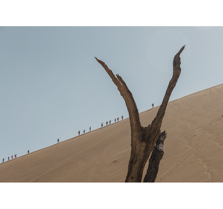 Dune Hikers Silhouette desert mural - TenStickers