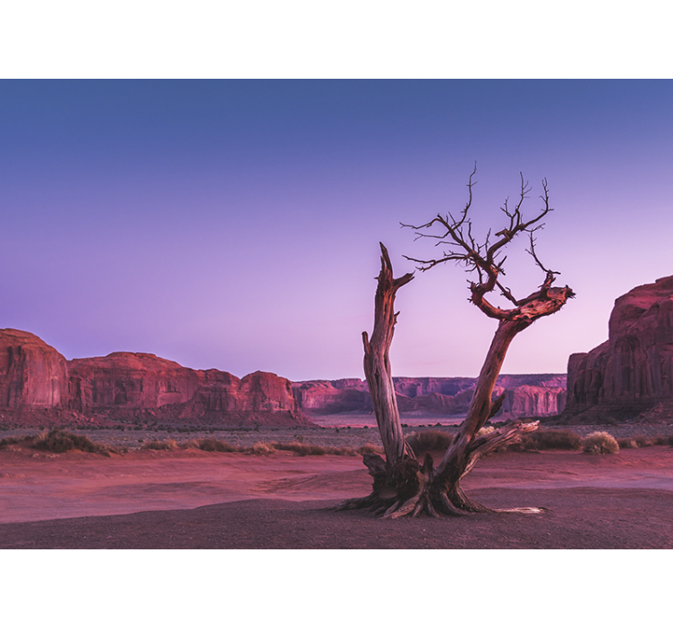 Pink desert landscape Home office Wall Mural - TenStickers