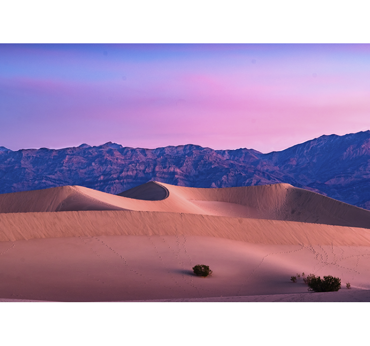 Desert mural golden dunes landscape - TenStickers