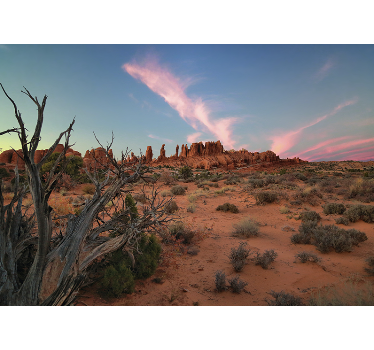 Sunset landscape Desert Wall Mural - TenStickers